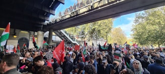 A passionate crowd waving flags at a vibrant political rally under a clear sky.