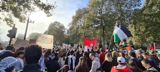 A large crowd of people gathered outdoors, holding various protest signs and flags. The scene is surrounded by tall trees with green foliage under a bright sky. Participants appear to be engaged in a demonstration, with messages on placards concerning political issues.