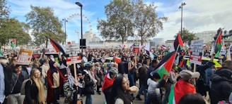 A large group of people gathered outdoors, holding various flags and signs with messages advocating for political causes. The background features trees and a recognizable Ferris wheel structure, suggesting an urban environment.
