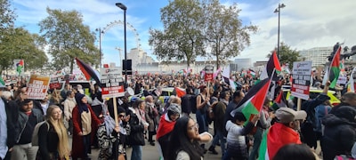 A large group of people gathered outdoors, holding various flags and signs with messages advocating for political causes. The background features trees and a recognizable Ferris wheel structure, suggesting an urban environment.