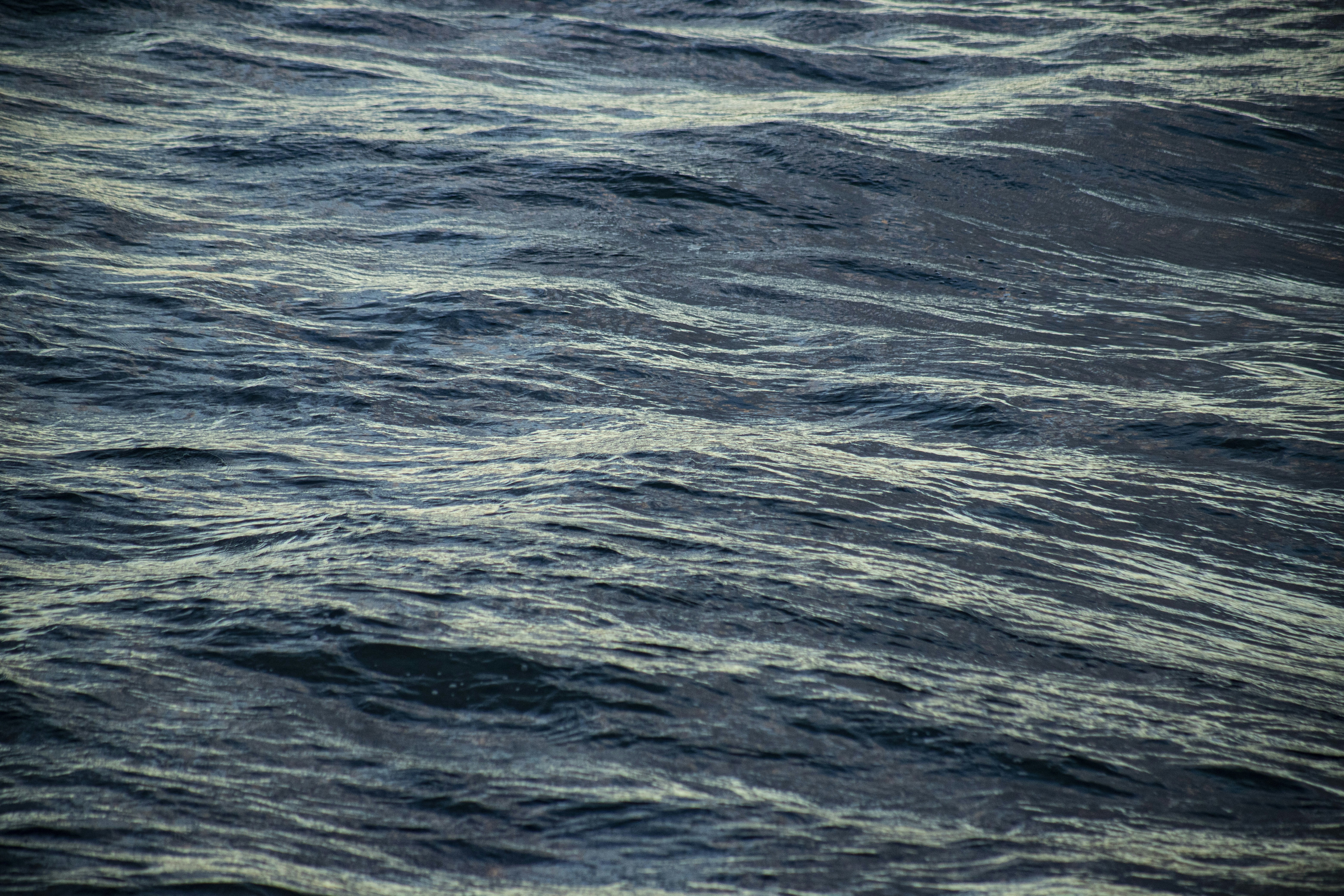 Photo by mike_martinez