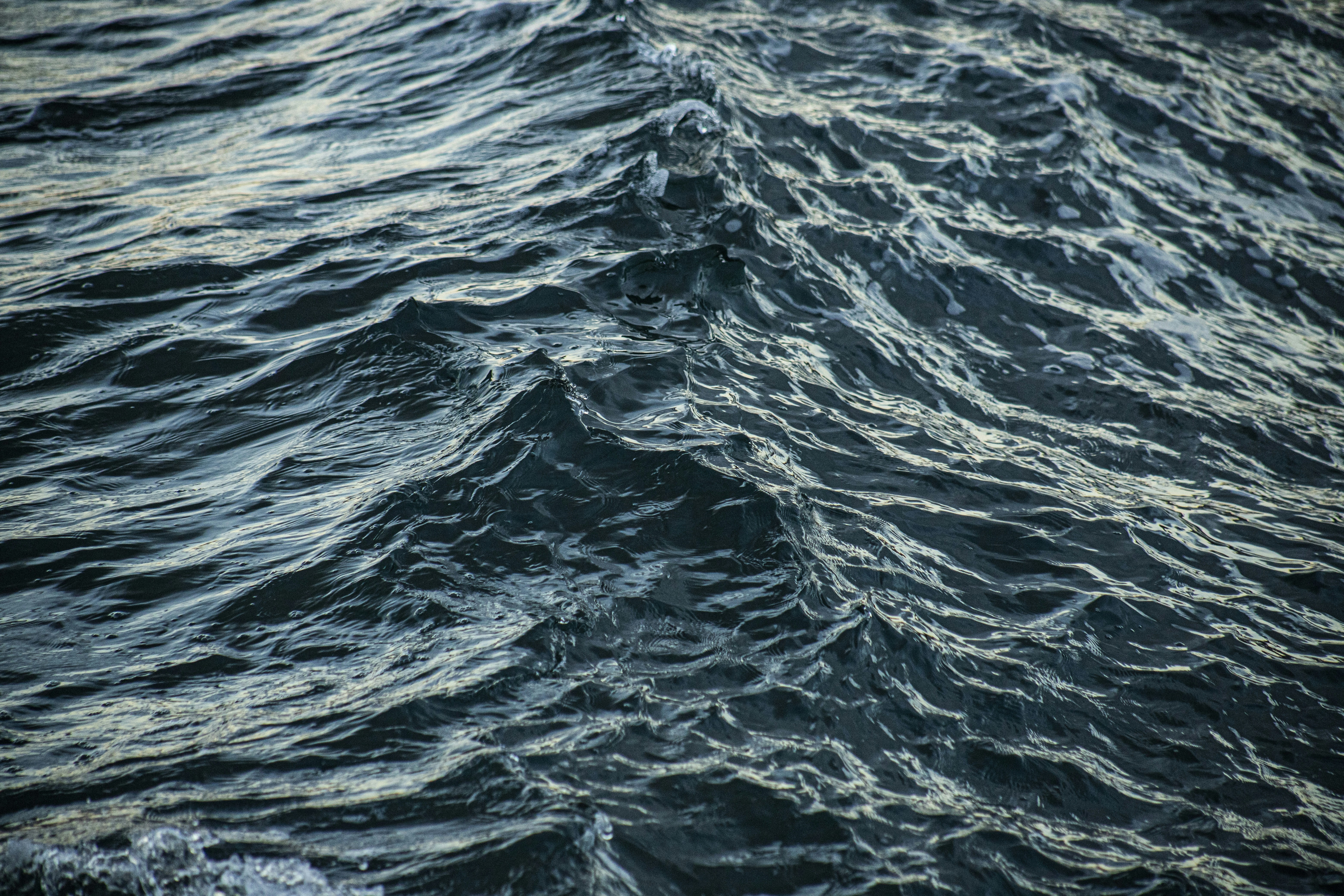 Photo by mike_martinez