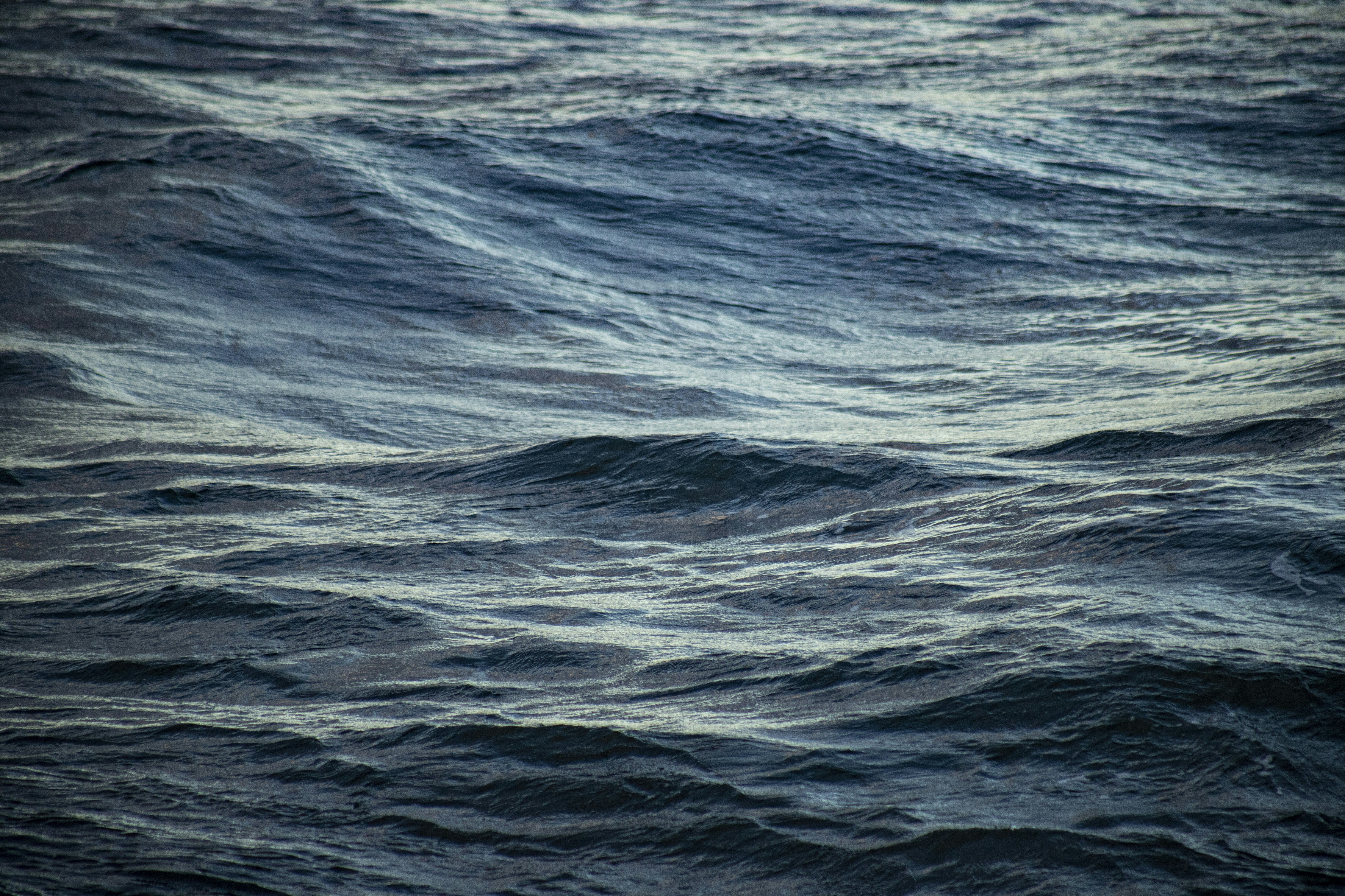 Photo by mike_martinez