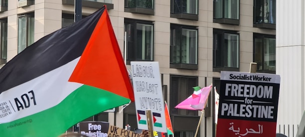 A protest scene featuring multiple signs and flags, including one with the colors of the Palestinian flag. Signs contain messages related to the Palestinian freedom movement. The background includes a modern building façade.