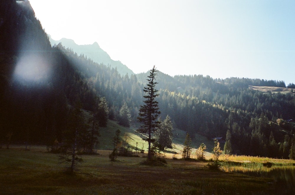 the sun shines brightly on a mountain landscape