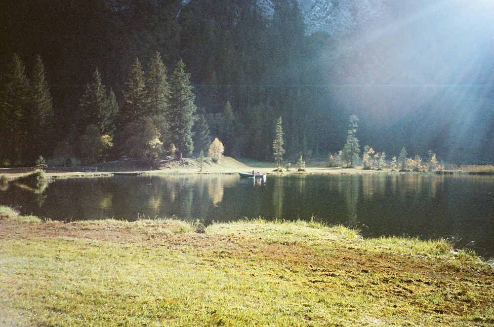 a large body of water surrounded by trees