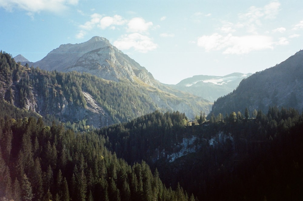 a view of a mountain range with trees in the foreground