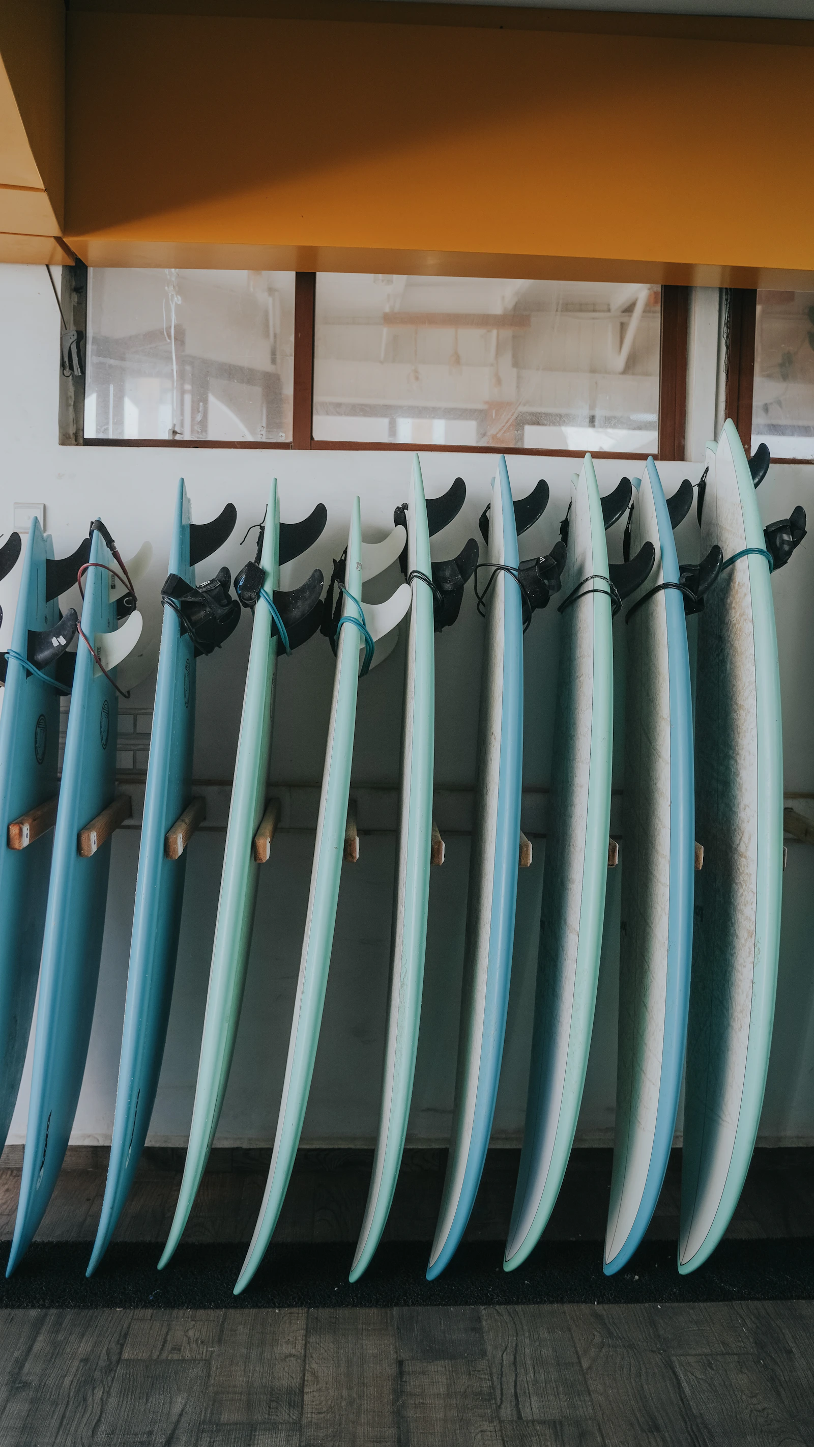 Collection of surfboards standing together