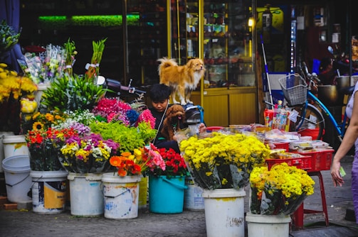 A bustling street flower market with vibrant bouquets of yellow, red, pink, and orange flowers arranged in buckets. A small dog perches atop a bicycle, while a person seated amidst the flowers tends to the stall. Nearby stalls contain other goods for sale.