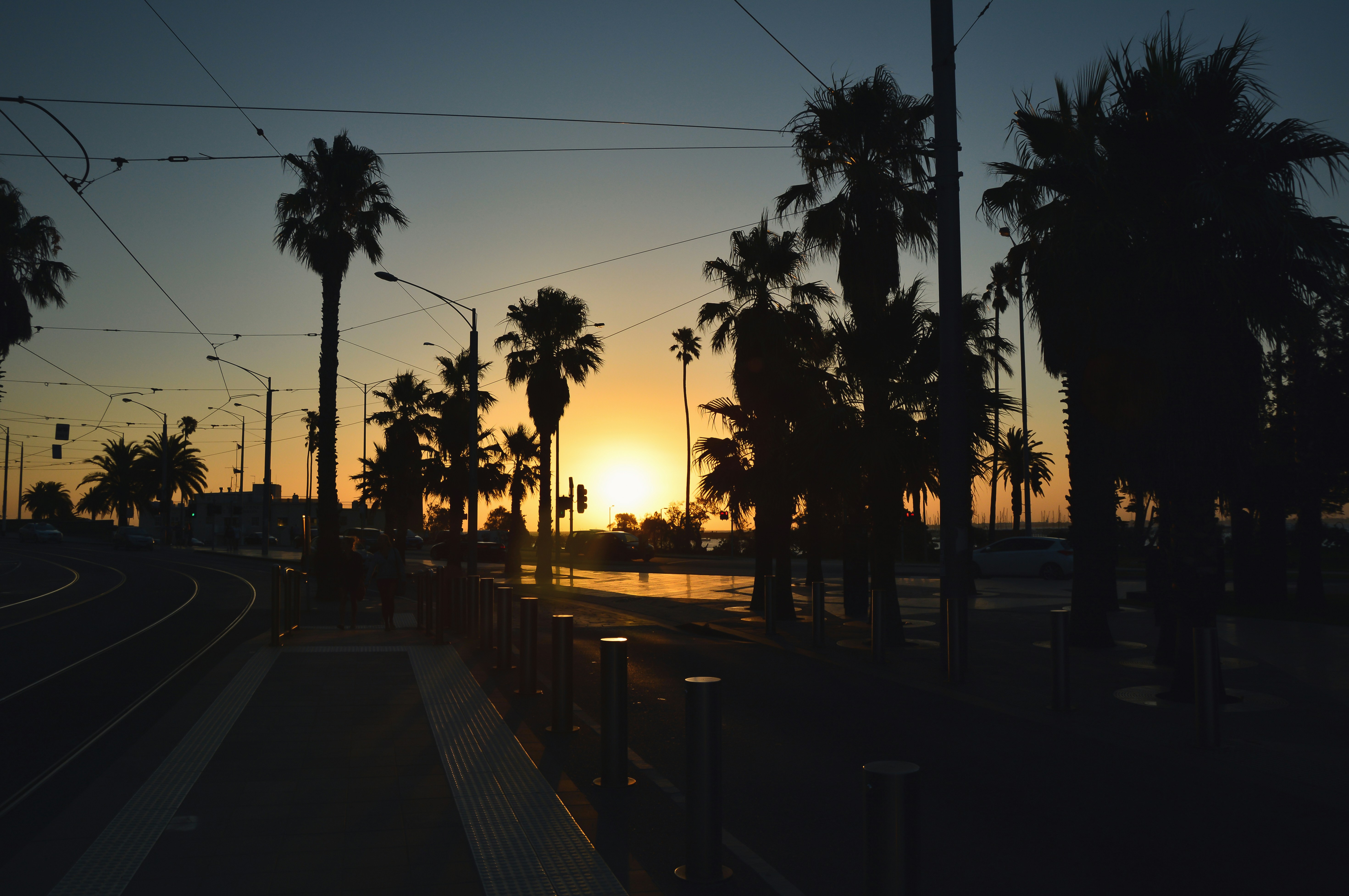 Photo by damian_ochrymowicz