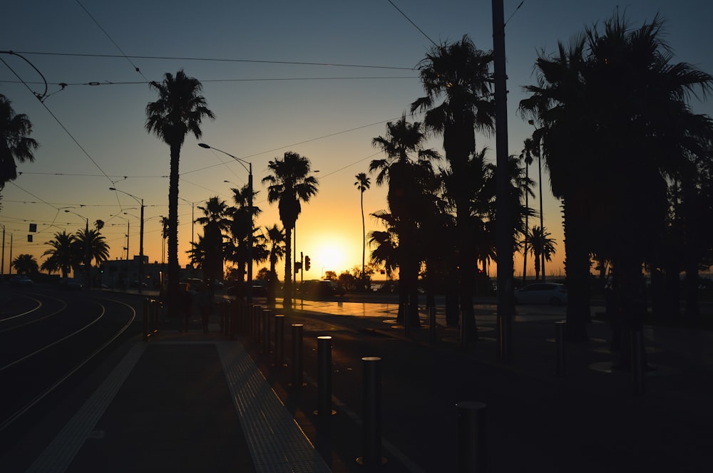 the sun is setting behind palm trees on the side of the road