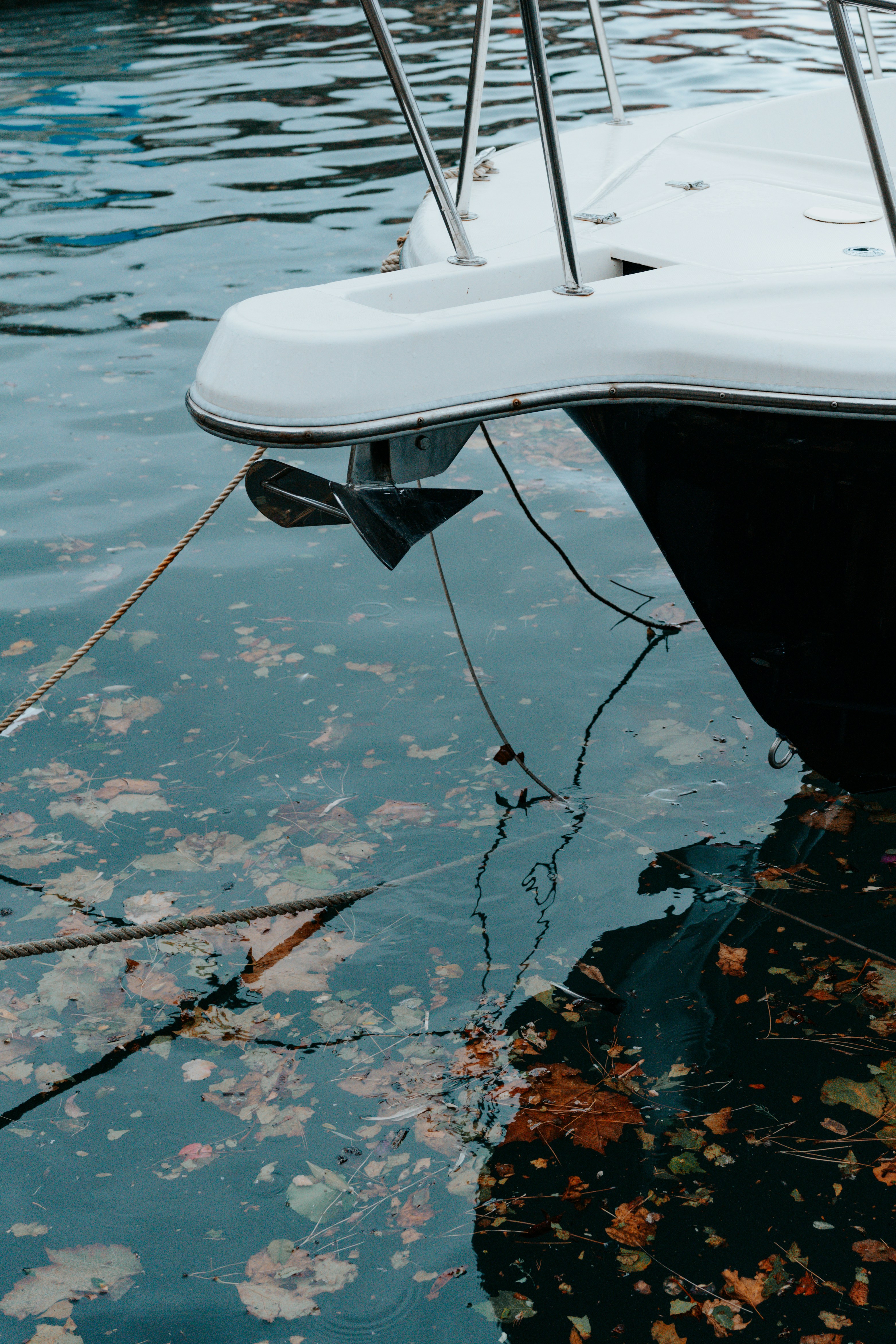 Photo by mathieuodin