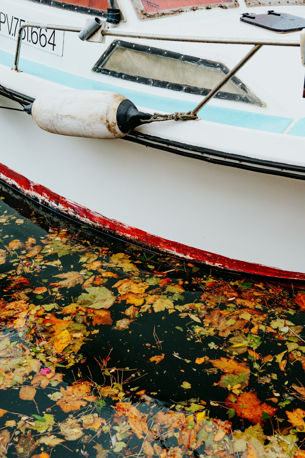 a boat with leaves floating in a body of water