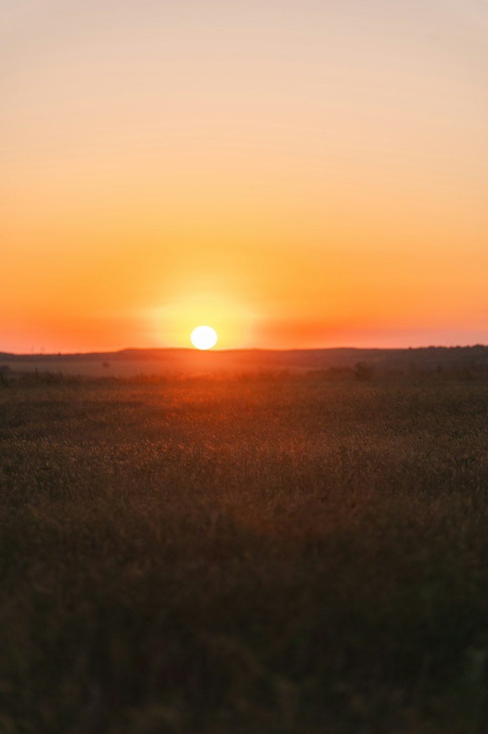 the sun is setting over a field of grass