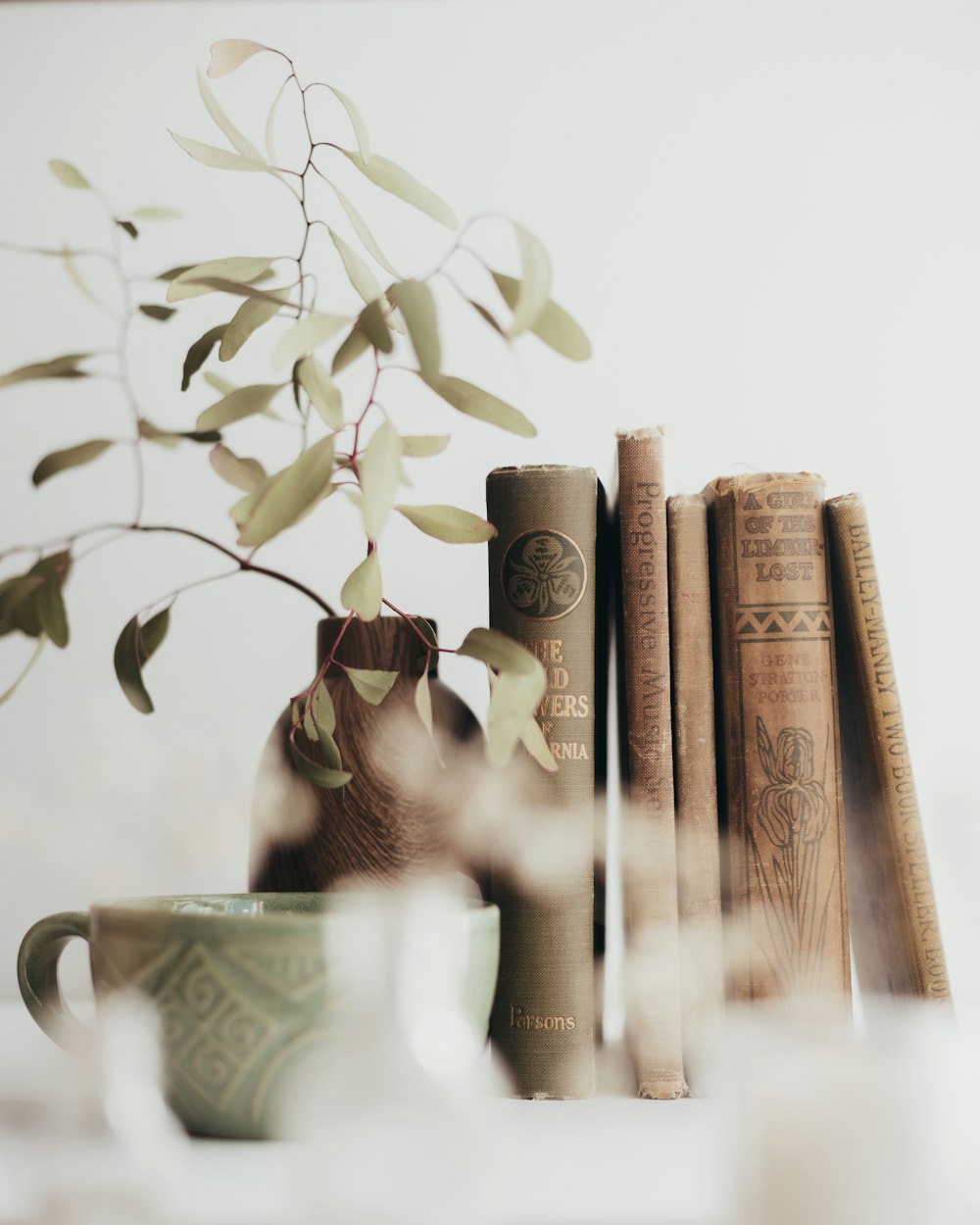 Un jarrón con una planta junto a unos libros