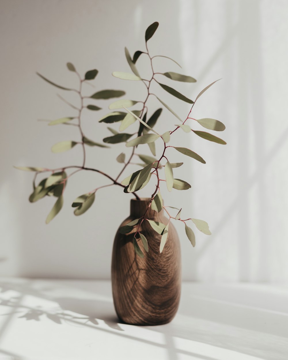 a vase with a plant in it on a table