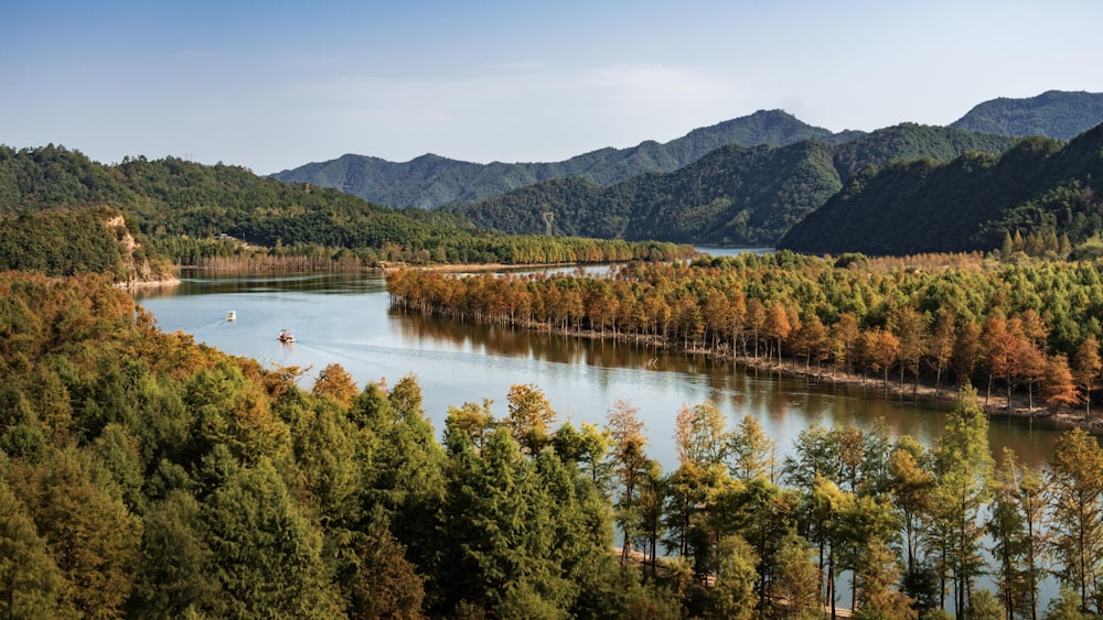 a body of water surrounded by trees and mountains