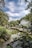 A group of travelers enjoying a serene moment at a scenic Japanese garden.