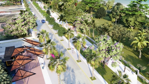 A vibrant avenue lined with tall, lush trees supplied by Sherikar Horticulture.