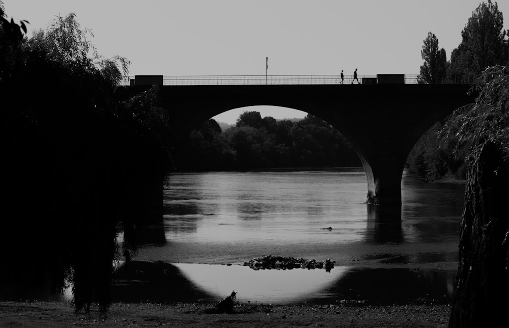 a black and white photo of a bridge over a river