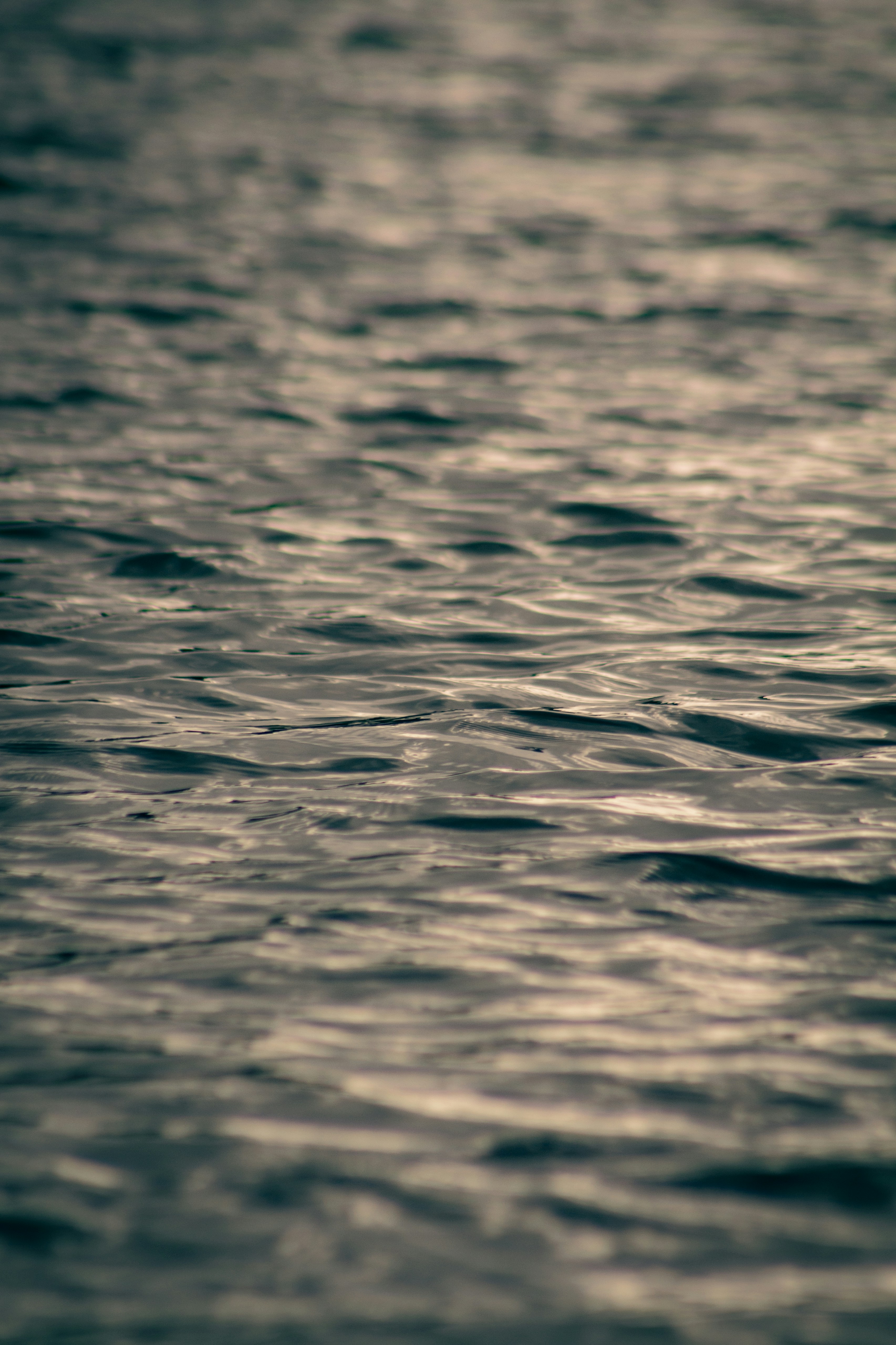 Photo by _priyank007_