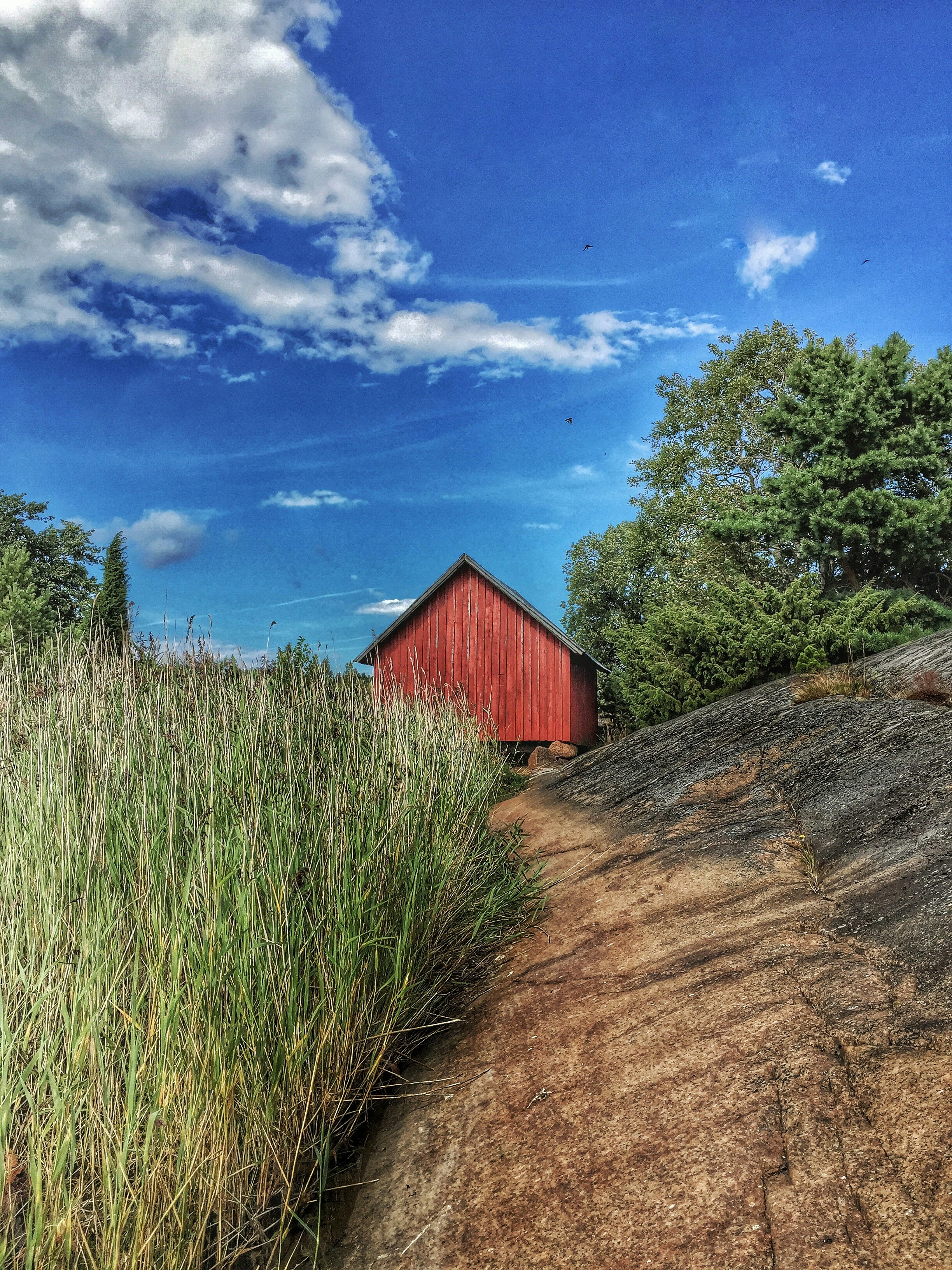 Red Rose Amish Shed
