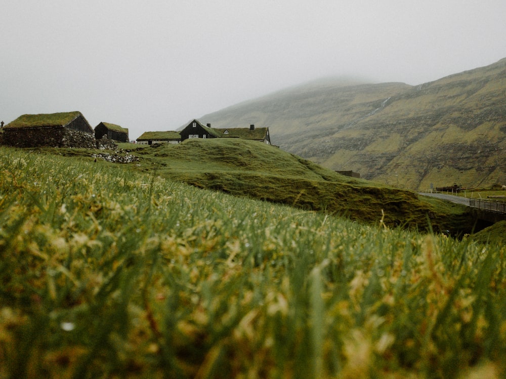 a grassy hill with some houses on top of it