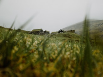 A scenic view of Barra village showcasing lush greenery and traditional houses.
