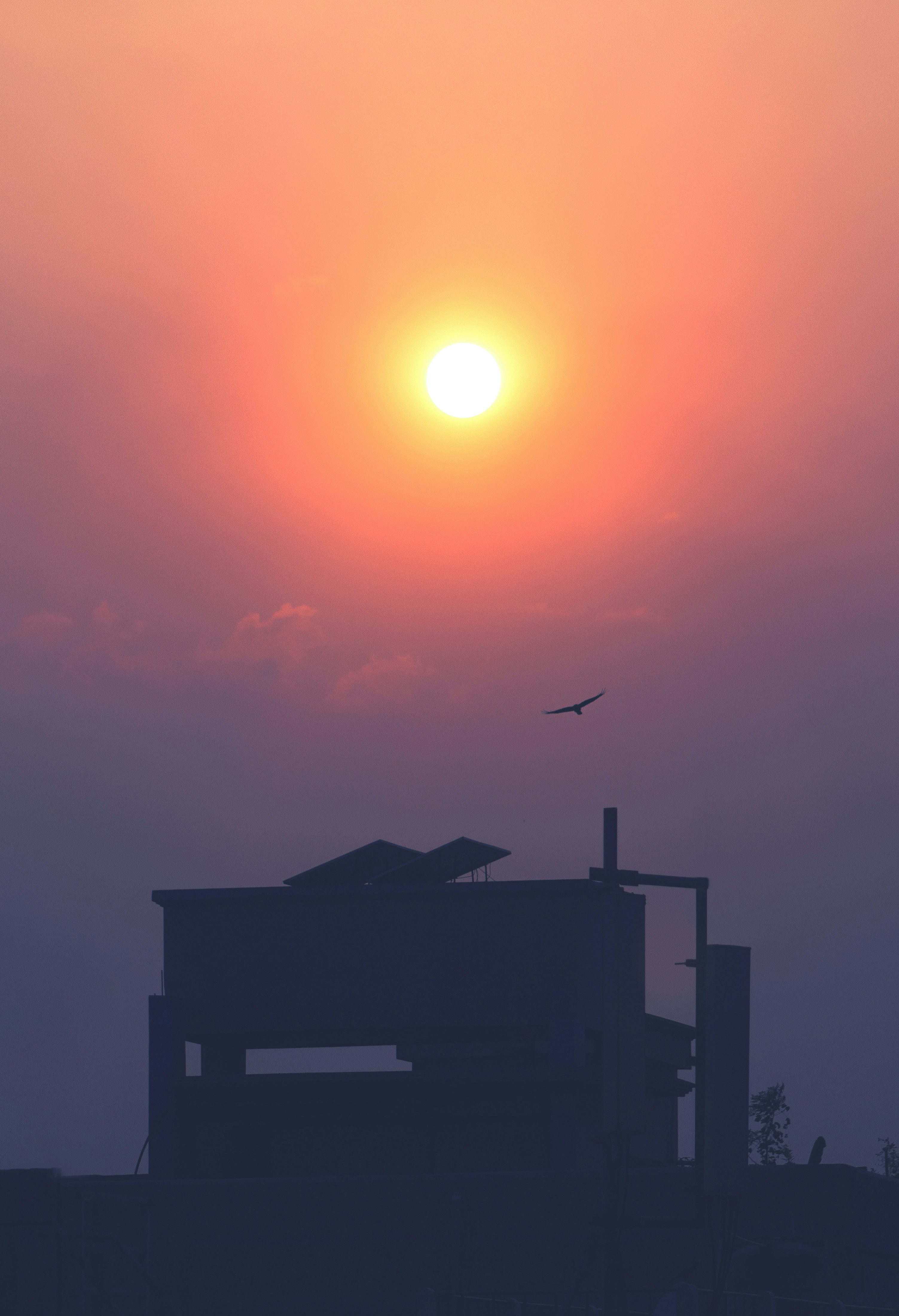 the sun is setting over a building with a bird flying in front of it
