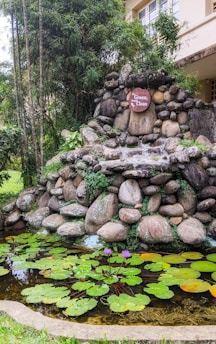 A serene stone fountain surrounded by lush greenery with a sign saying 'Go Green, Breath Clean.' The foreground features a small pond with green lily pads and vibrant purple water lilies.