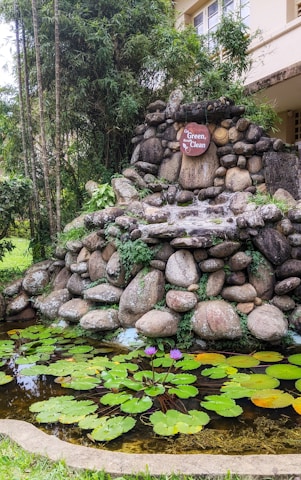 A serene stone fountain surrounded by lush greenery with a sign saying 'Go Green, Breath Clean.' The foreground features a small pond with green lily pads and vibrant purple water lilies.