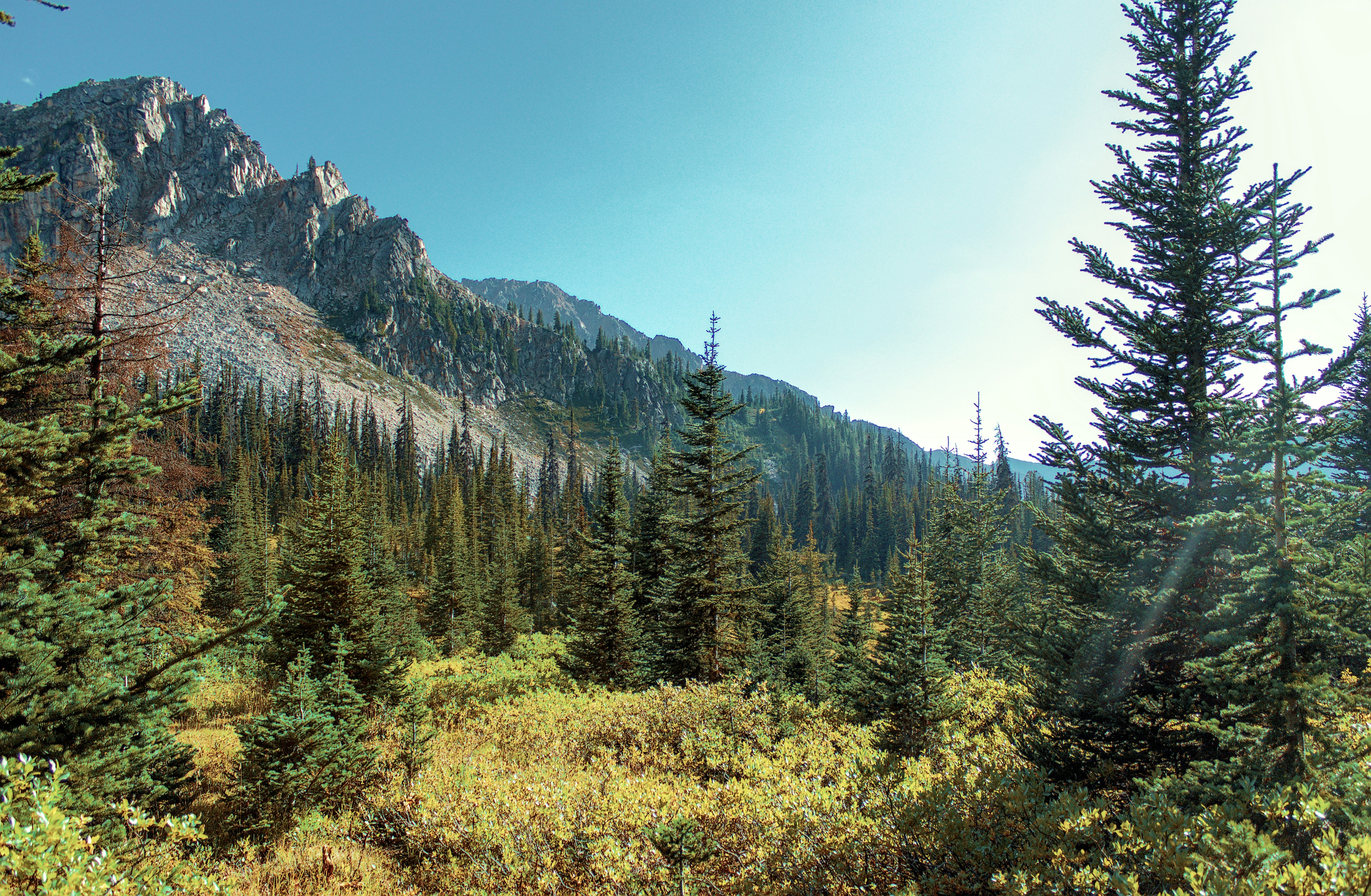 Photo by dcanadianphotographer