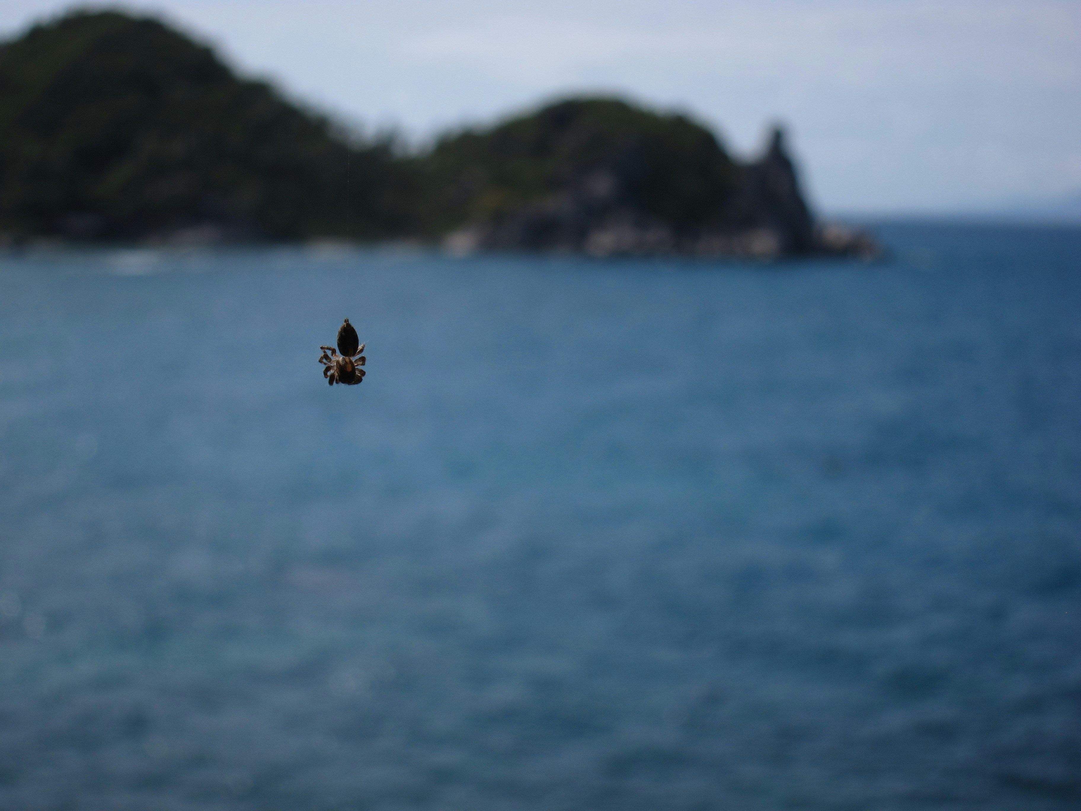 Photo by mazzinger