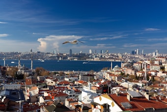A panoramic view of a vibrant cityscape featuring a large body of water in the background, with the distinct minarets of a mosque in the foreground. The skyline includes a mix of historical and modern architecture, under a clear blue sky with scattered clouds. A seagull is flying in the sky, adding a dynamic element to the tranquil scene.