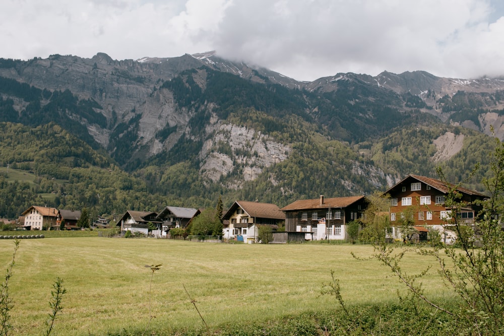 a grassy field with houses and mountains in the background