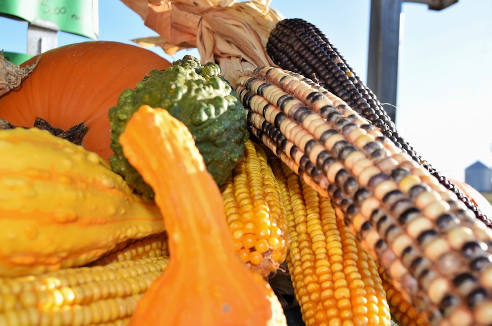 a close up of corn on the cob