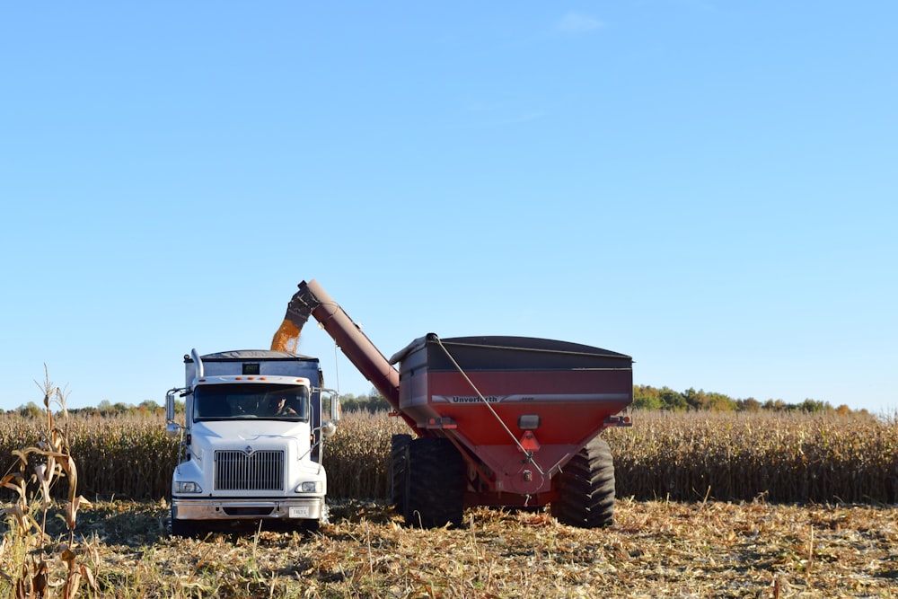 a tractor pulling a trailer in a corn field