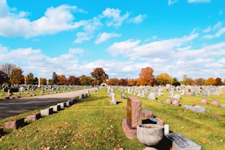 a cemetery with many headstones and trees in the background