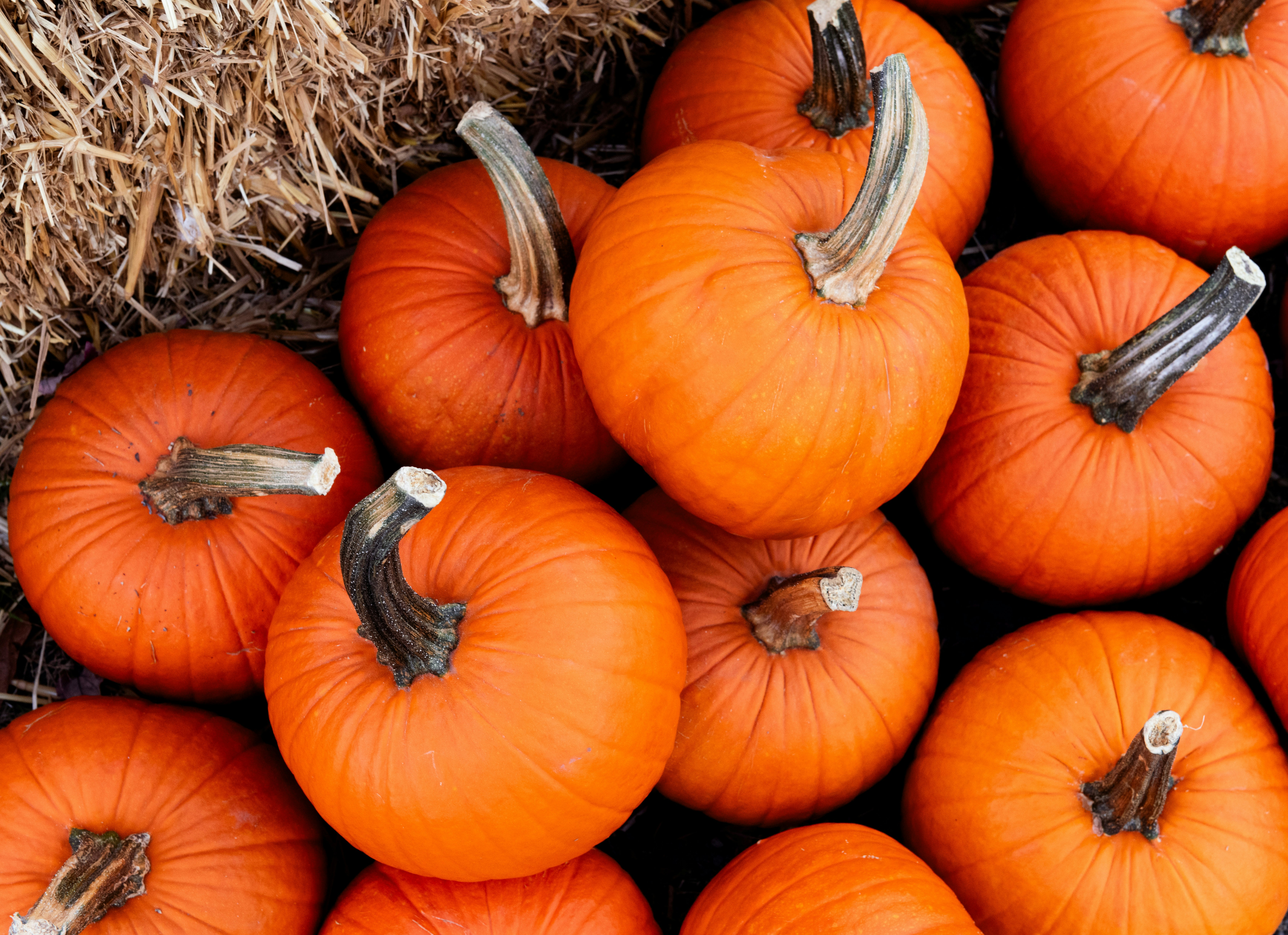 Photo by sriniunsplash