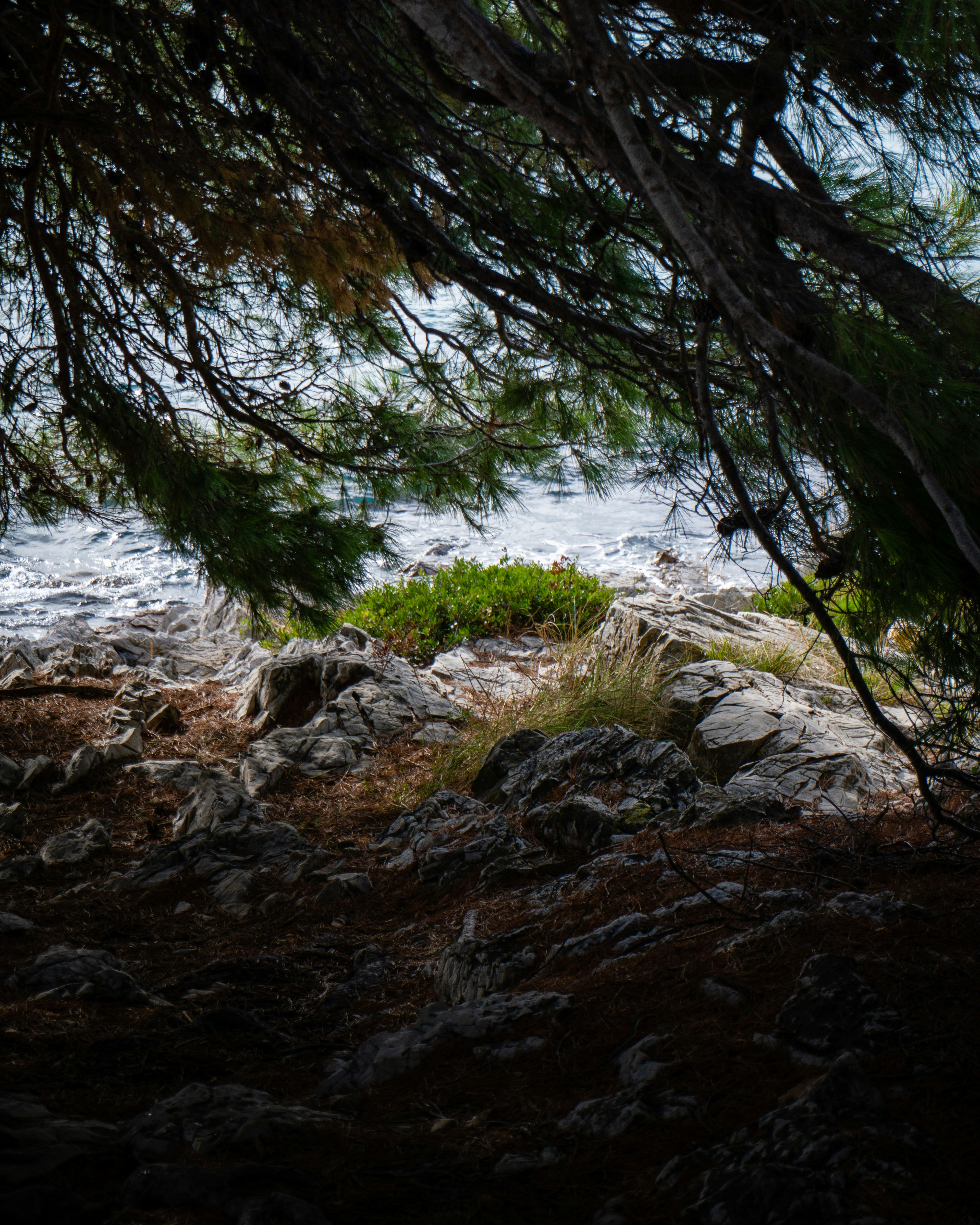 Photo by puskas_dominik