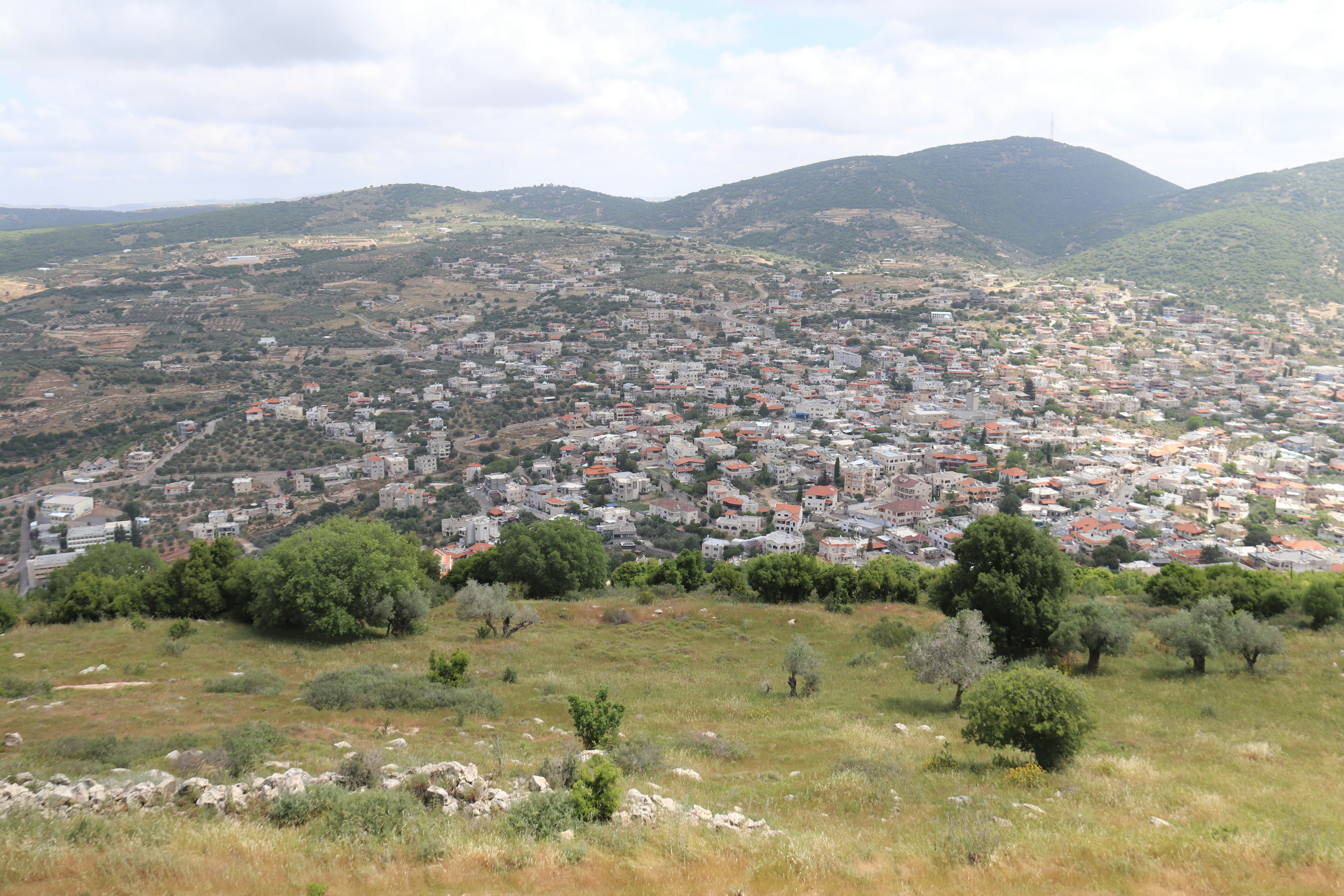 Photo by shalevcohen