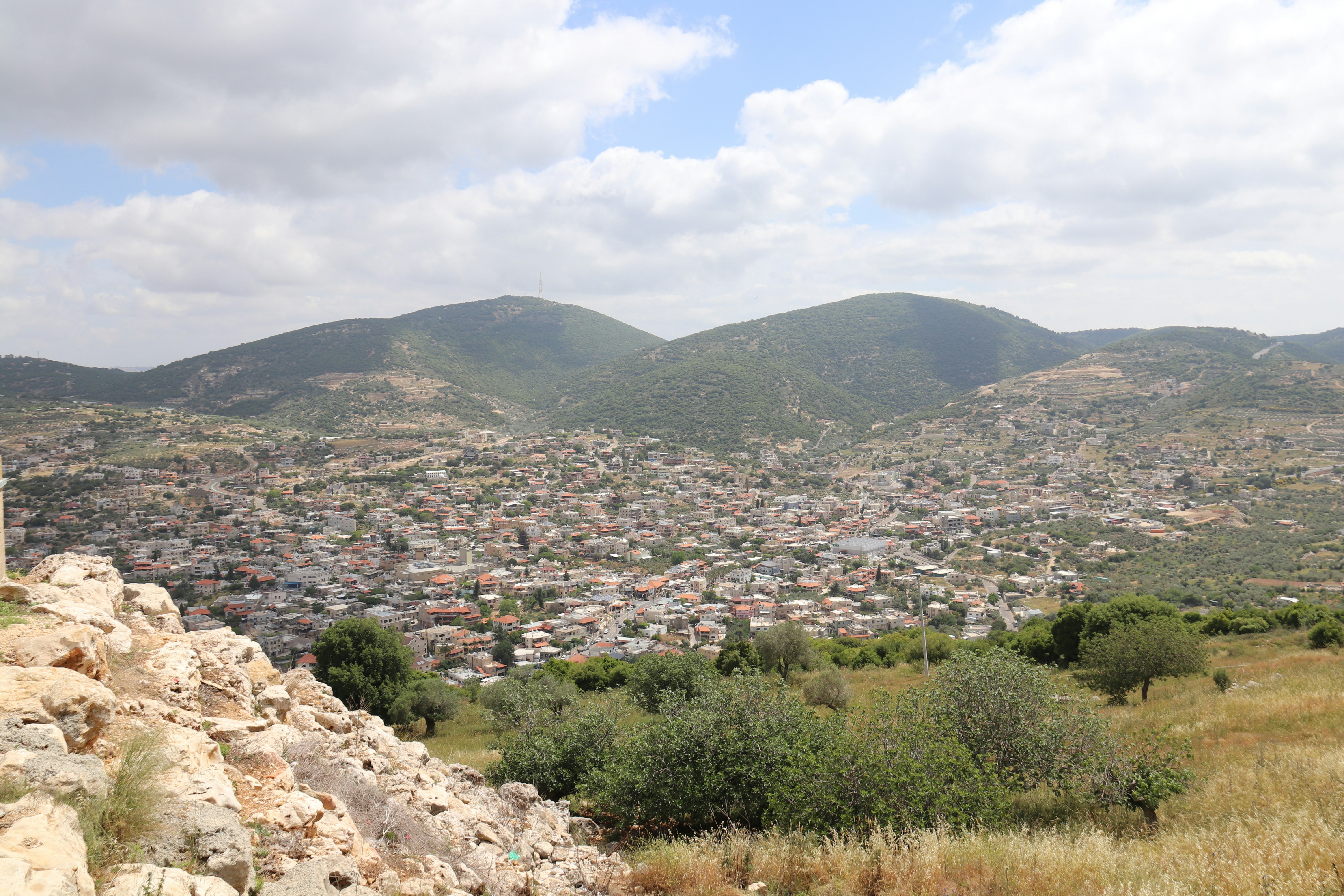 Photo by shalevcohen