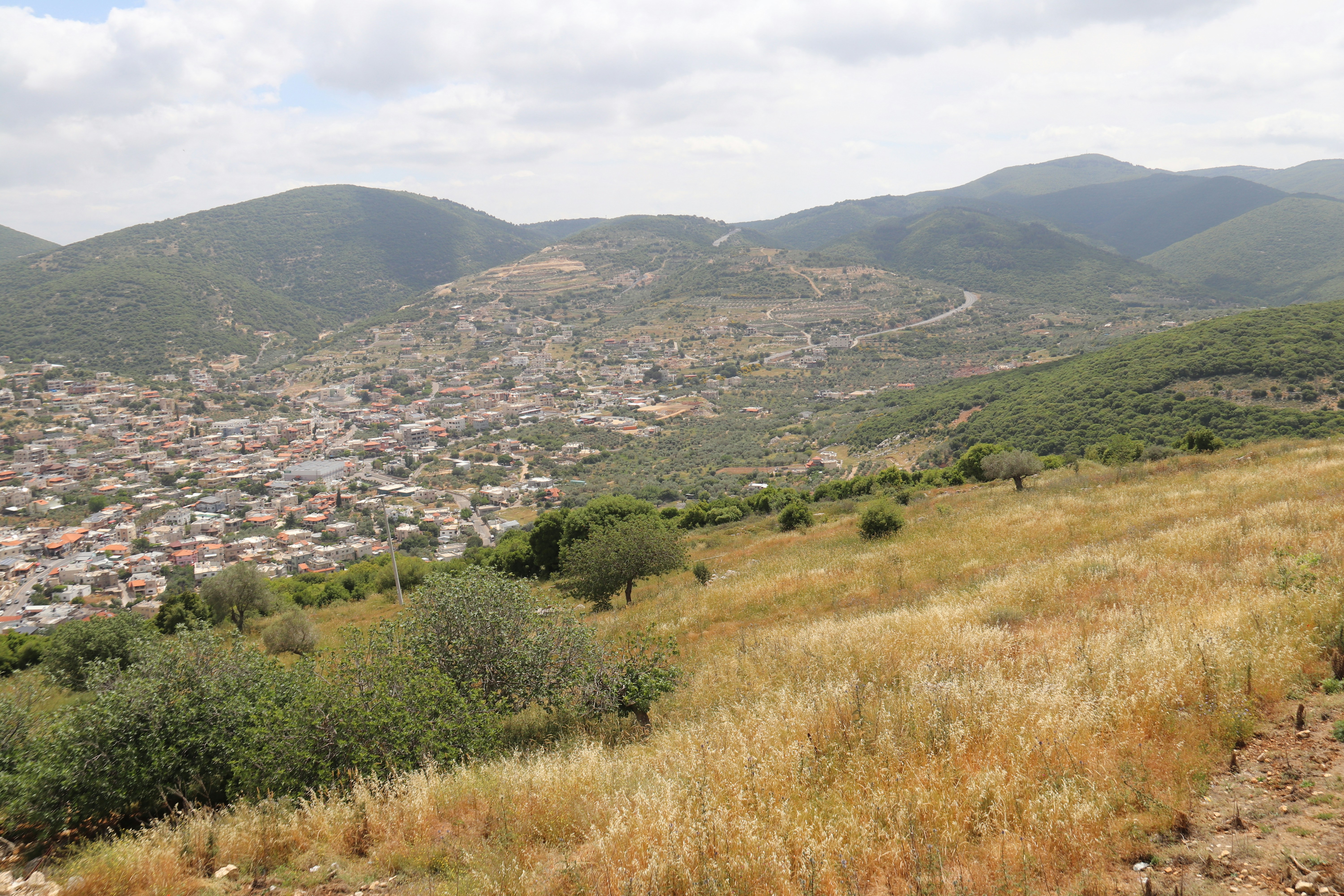 Photo by shalevcohen