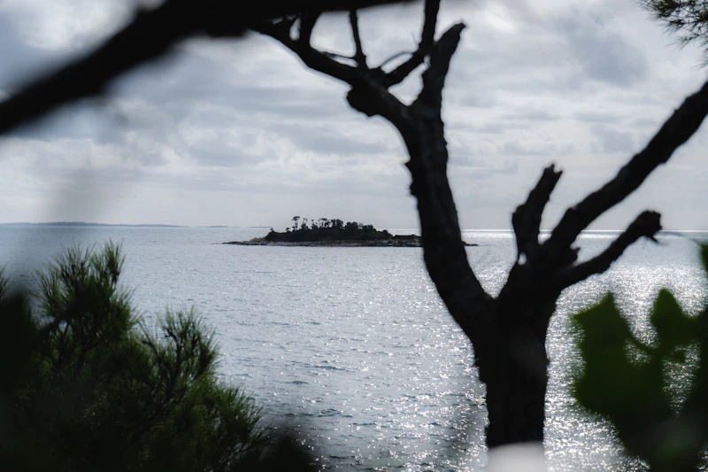 Best Time to Visit Rovinj: Month-by-Month Guide for Every Type of Traveller