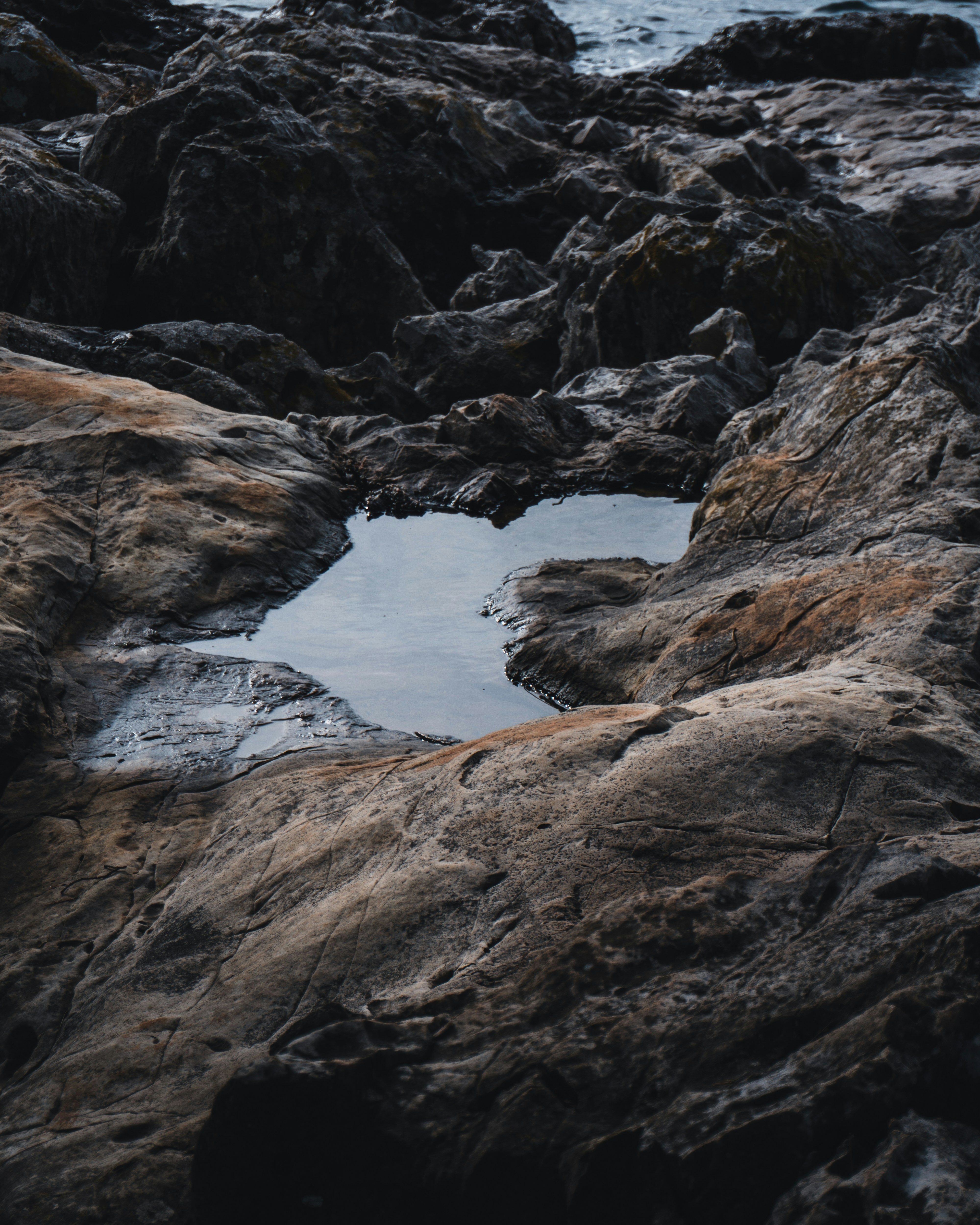 Photo by puskas_dominik