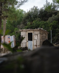 A small stone building with a simple door is nestled among lush green trees and foliage. Two white containers with 'dm' logos are visible nearby, adding a contrast to the natural surroundings. A rocky foreground frames the view, enhancing the secluded and rural atmosphere.