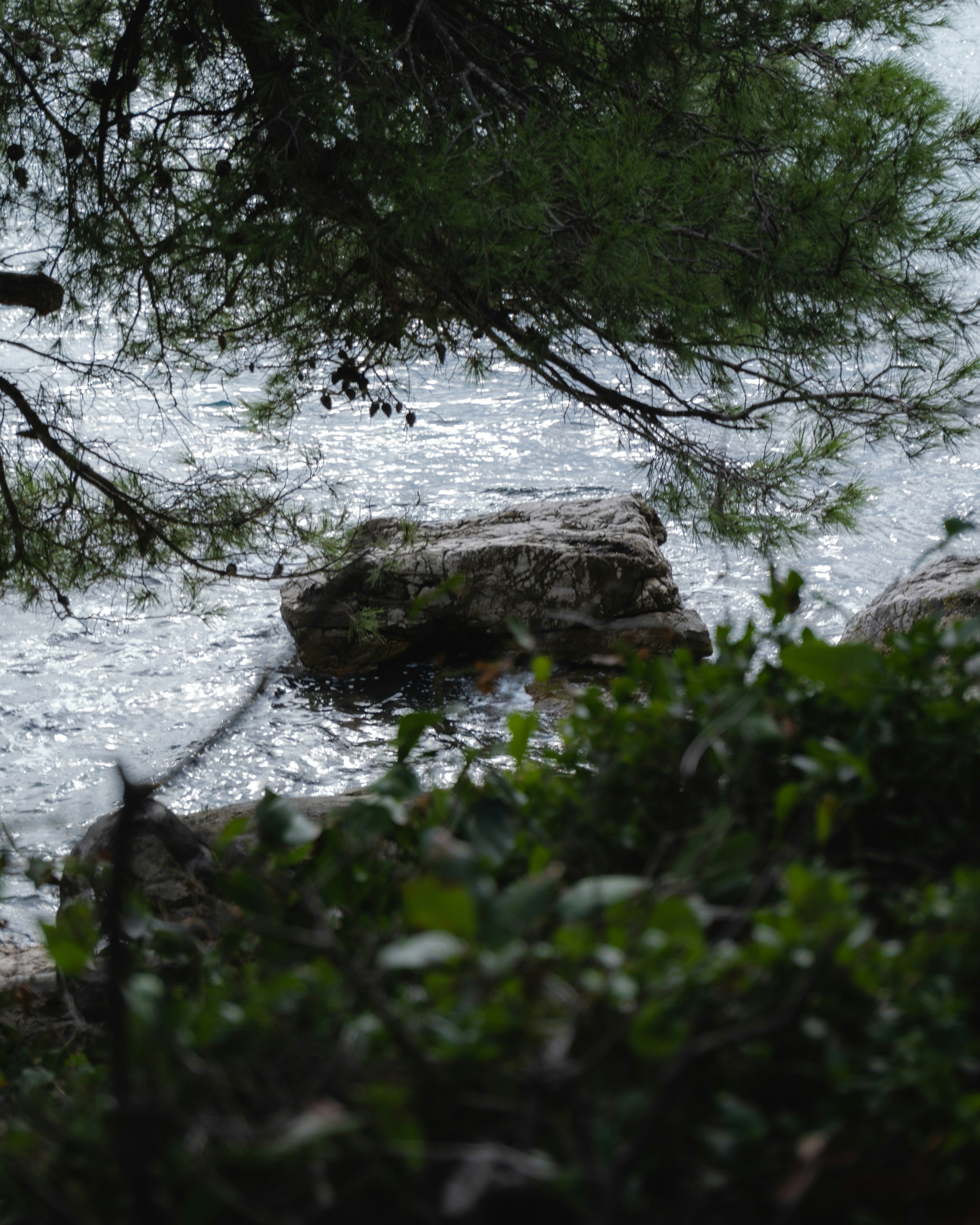 Photo by puskas_dominik