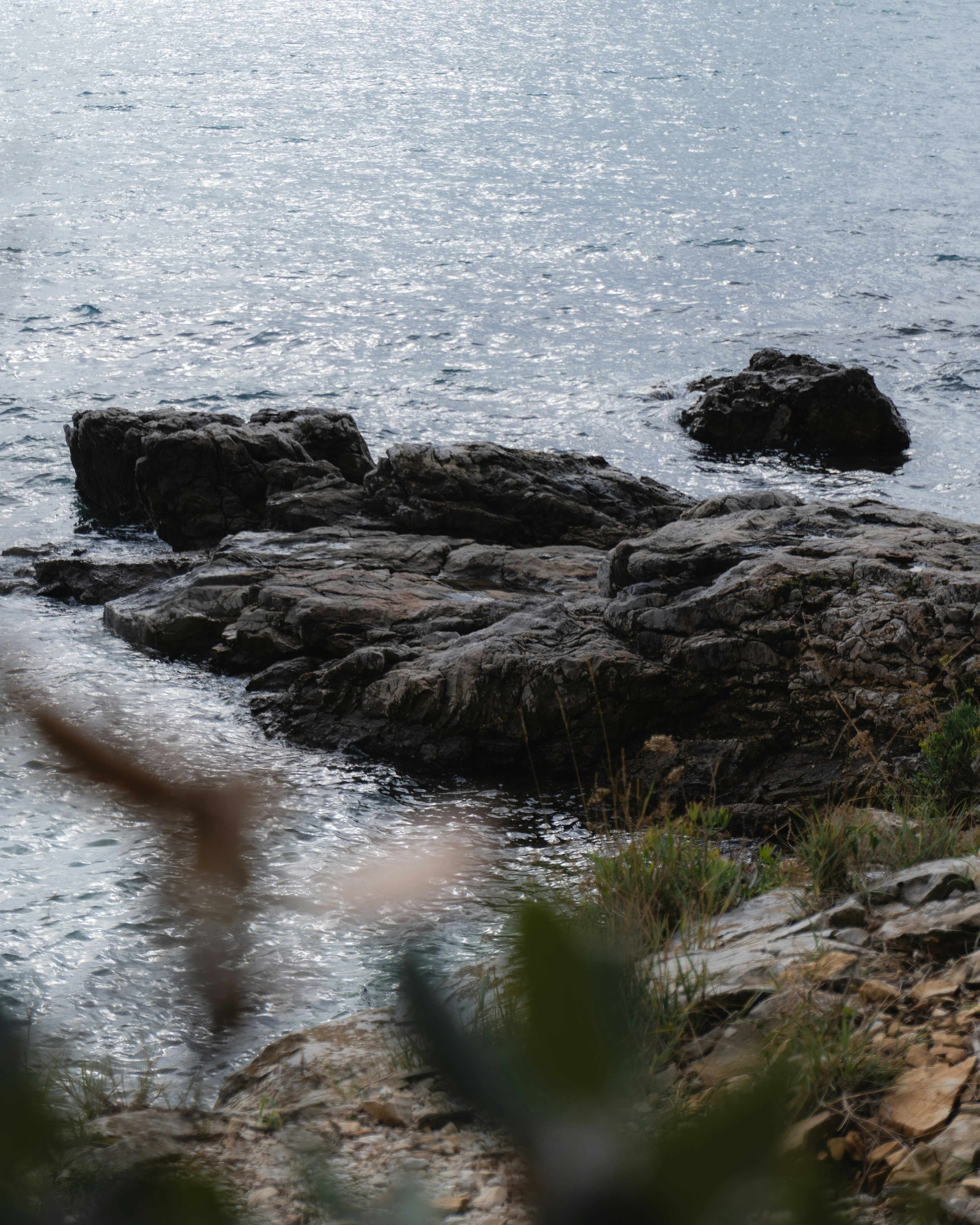 Photo by puskas_dominik