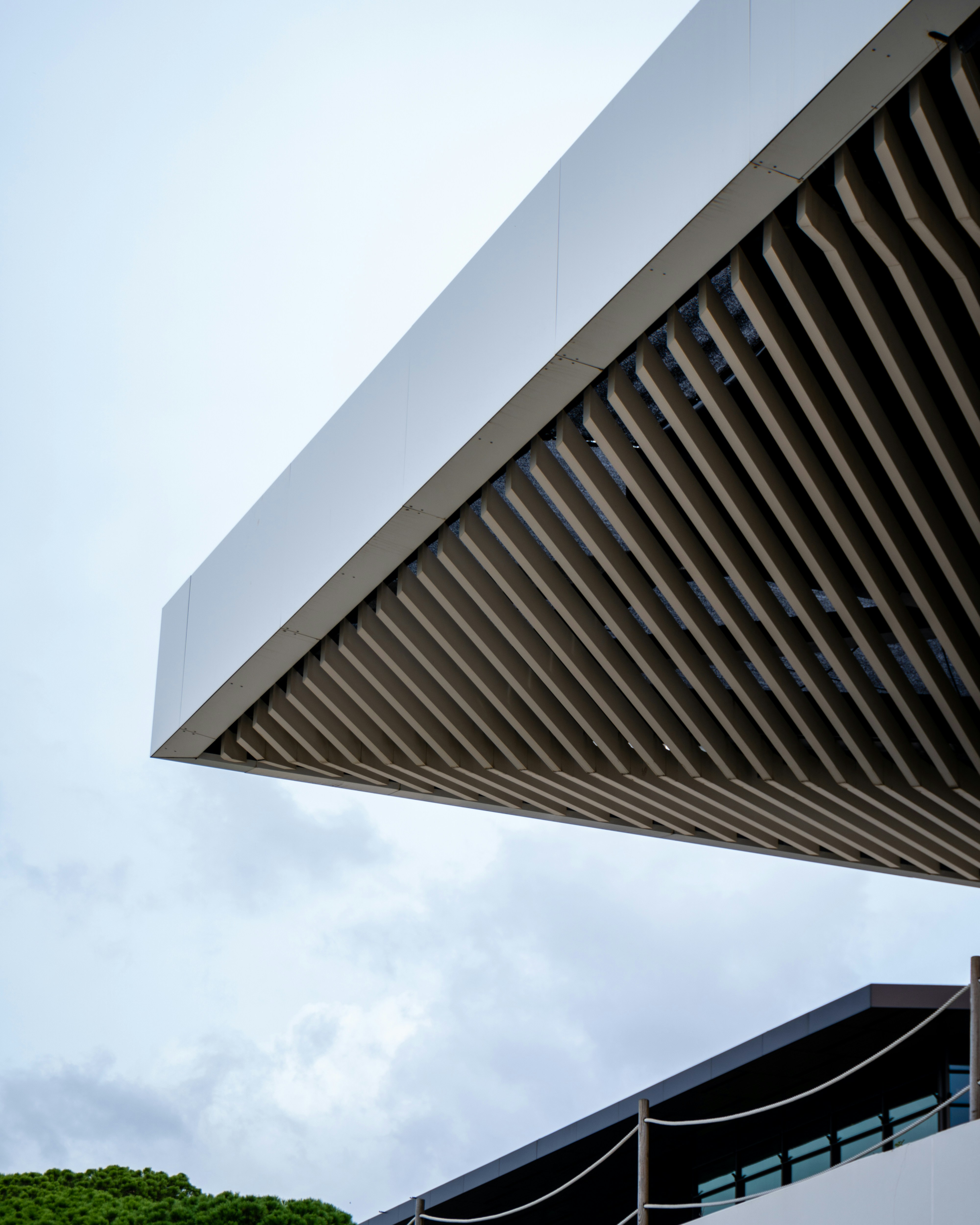 Photo by puskas_dominik