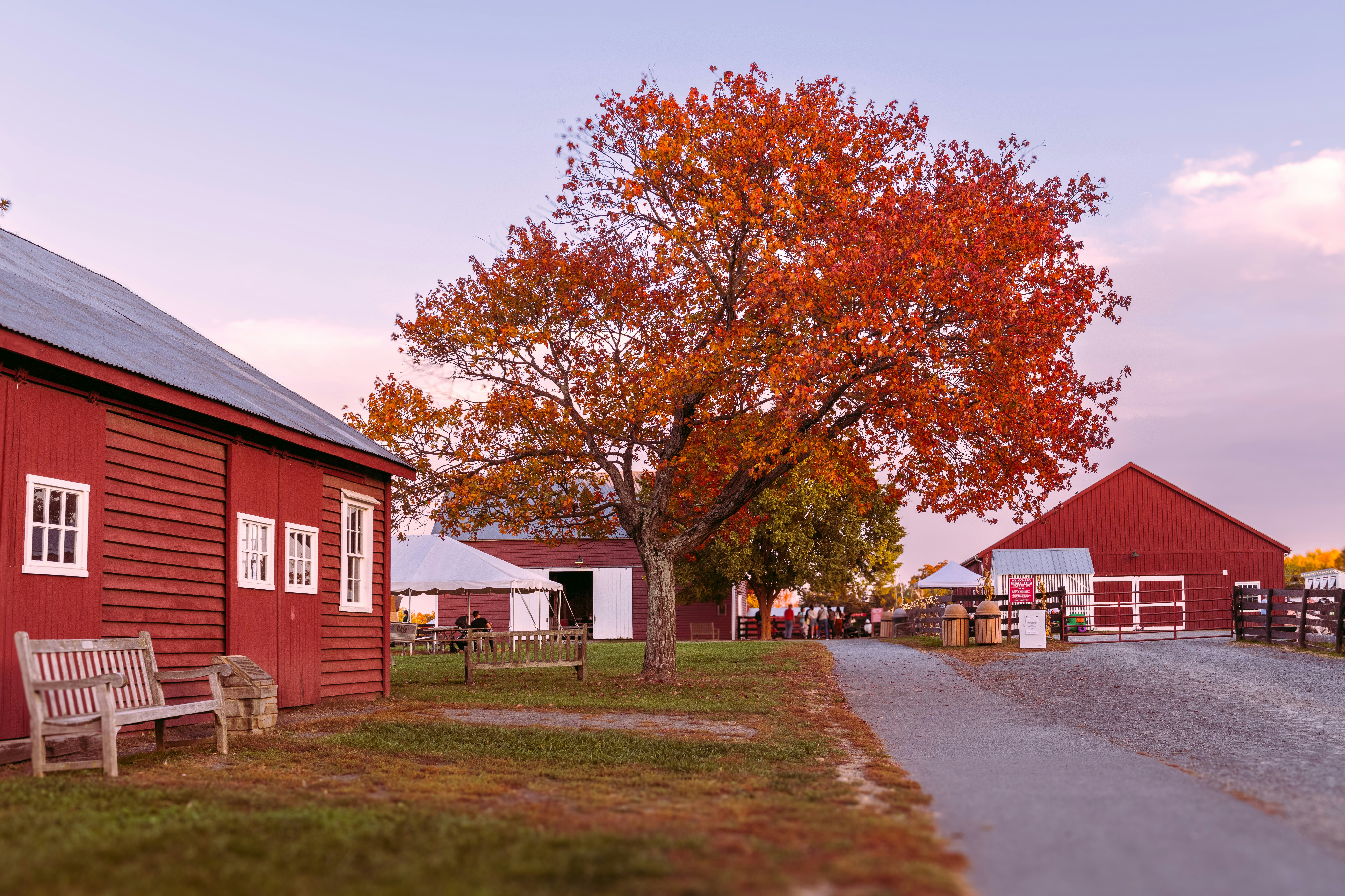 Photo by sriniunsplash